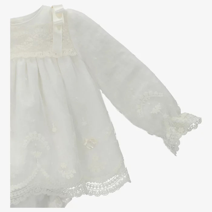 Lace Sleeve Dress