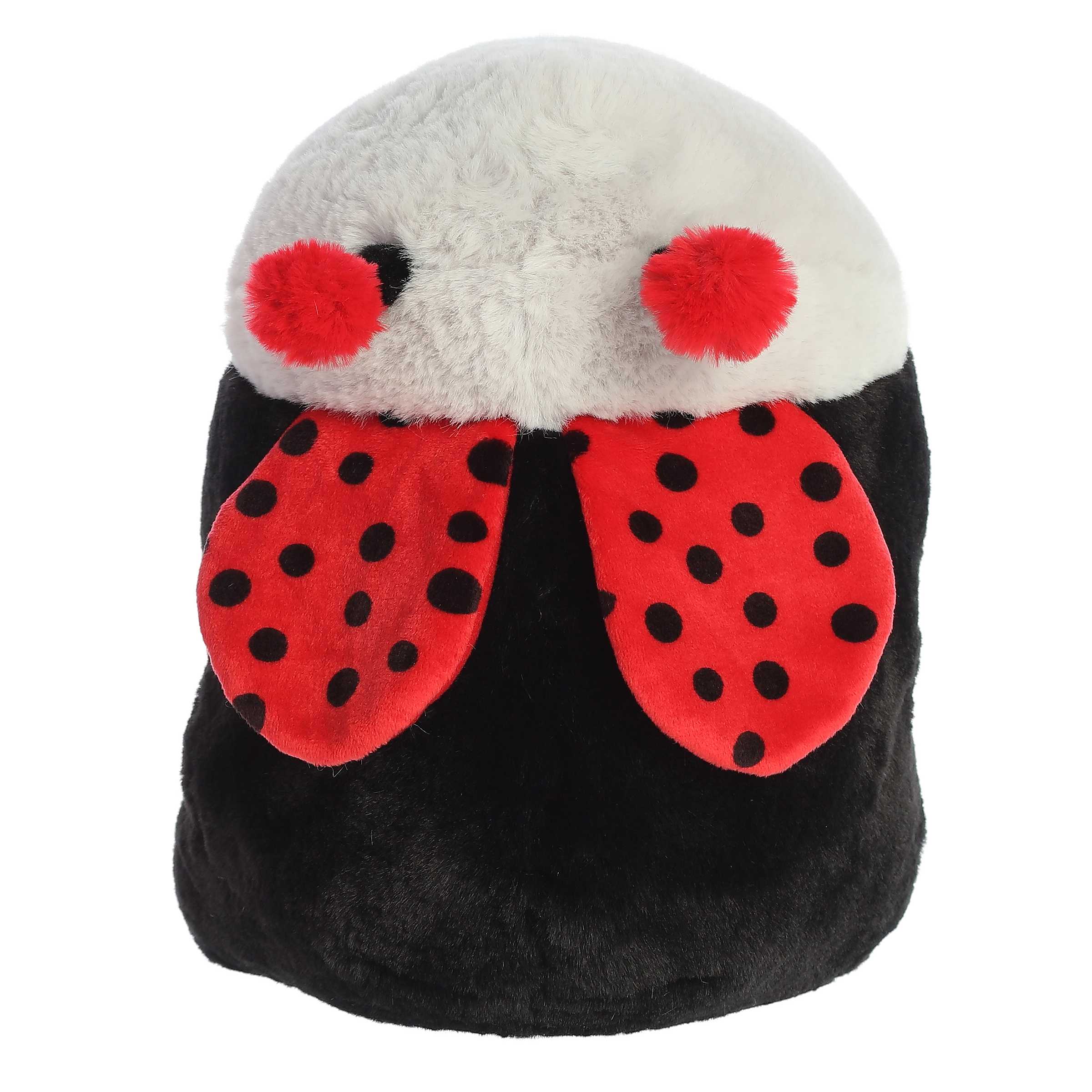 AURORA: 10” LadyBug