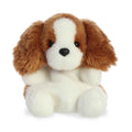 AURORA: 5'' LADY SPANIEL