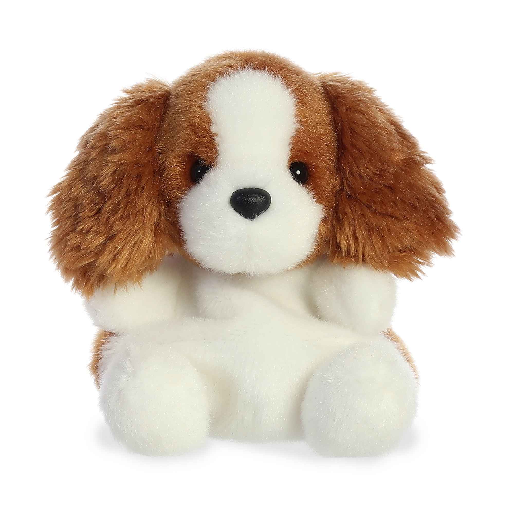AURORA: 5'' LADY SPANIEL