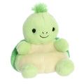 AURORA: 5'' TINY TURTLE