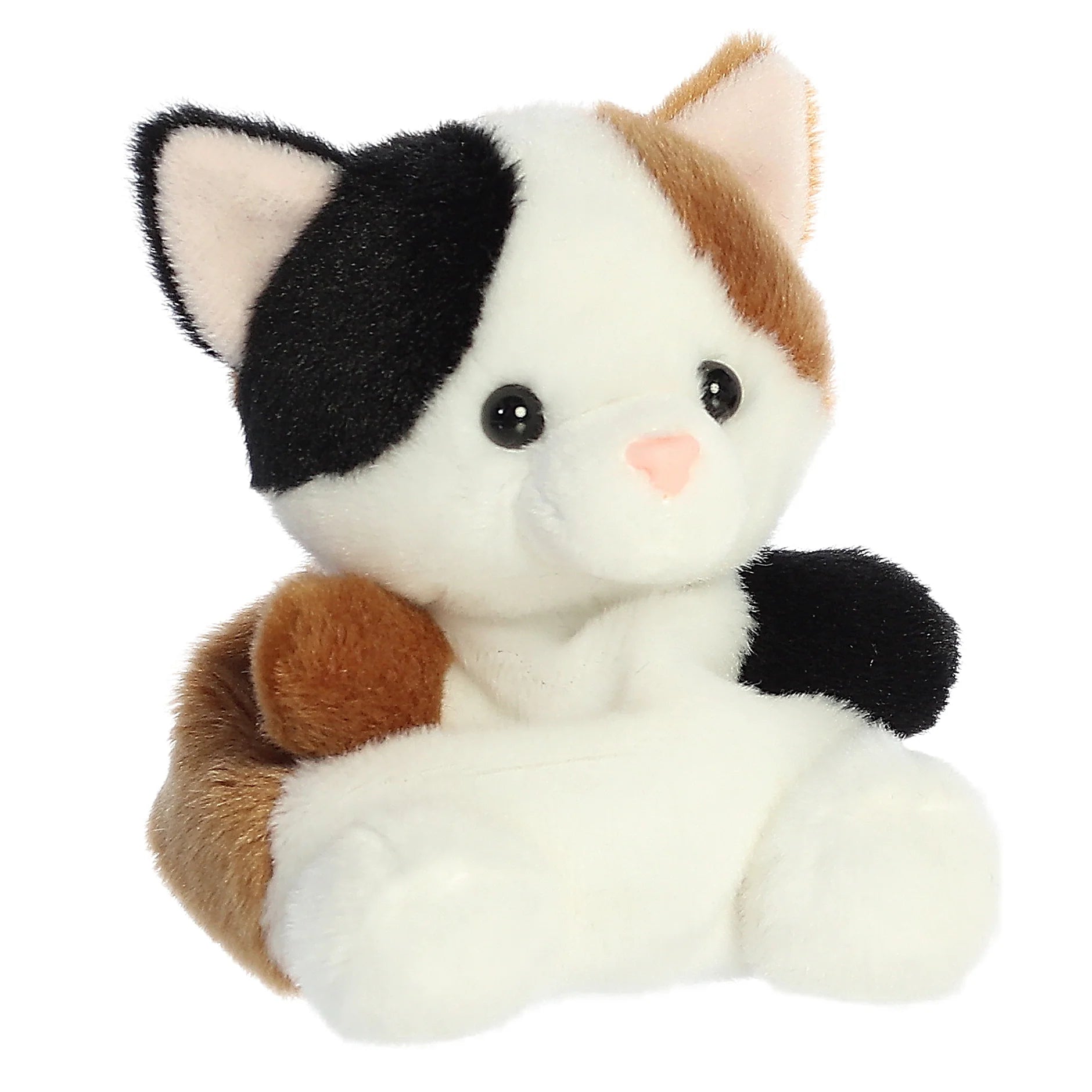 AURORA: 5'' PEEBS CALICO CAT
