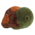 AURORA: 10'' TONY TURTLE