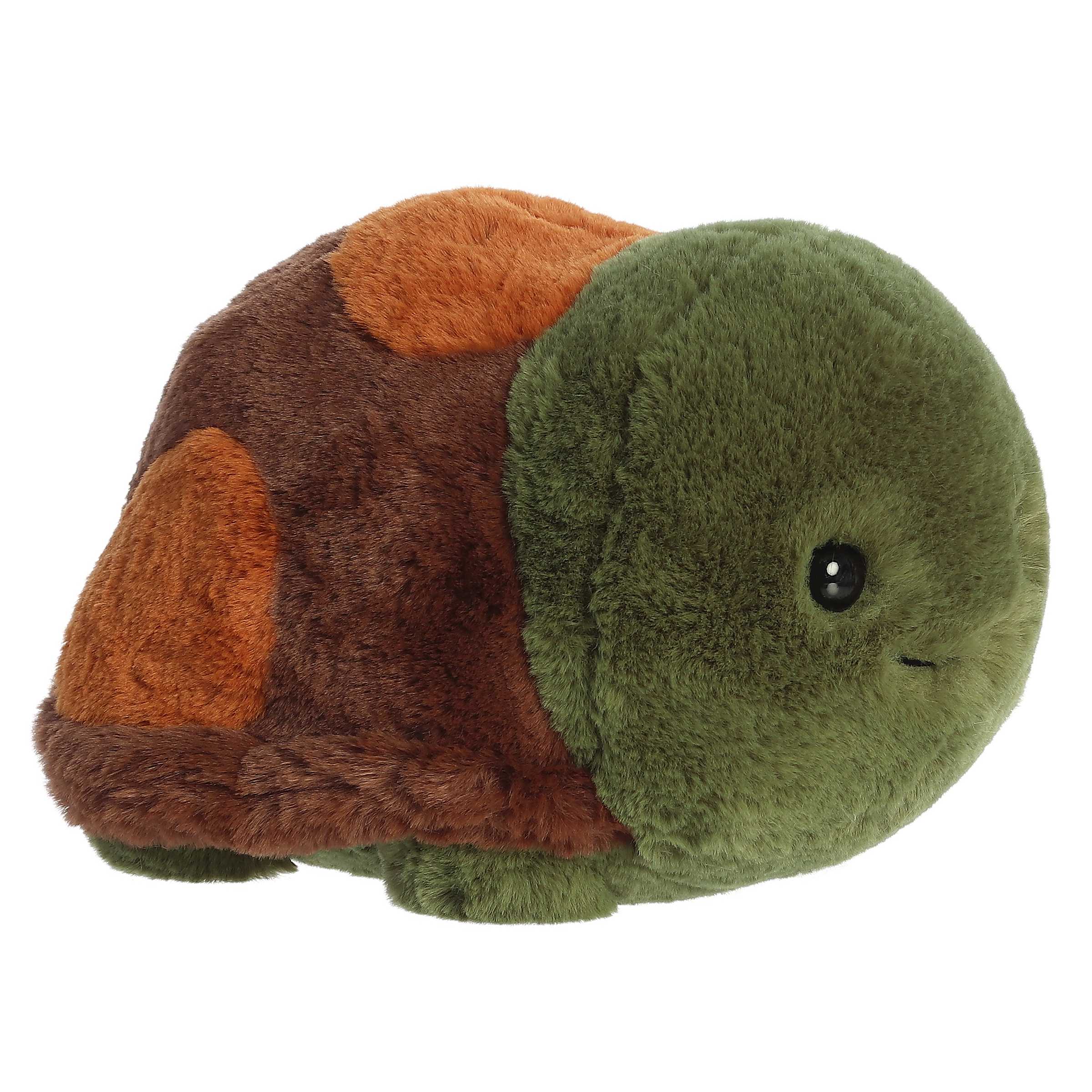 AURORA: 10'' TONY TURTLE