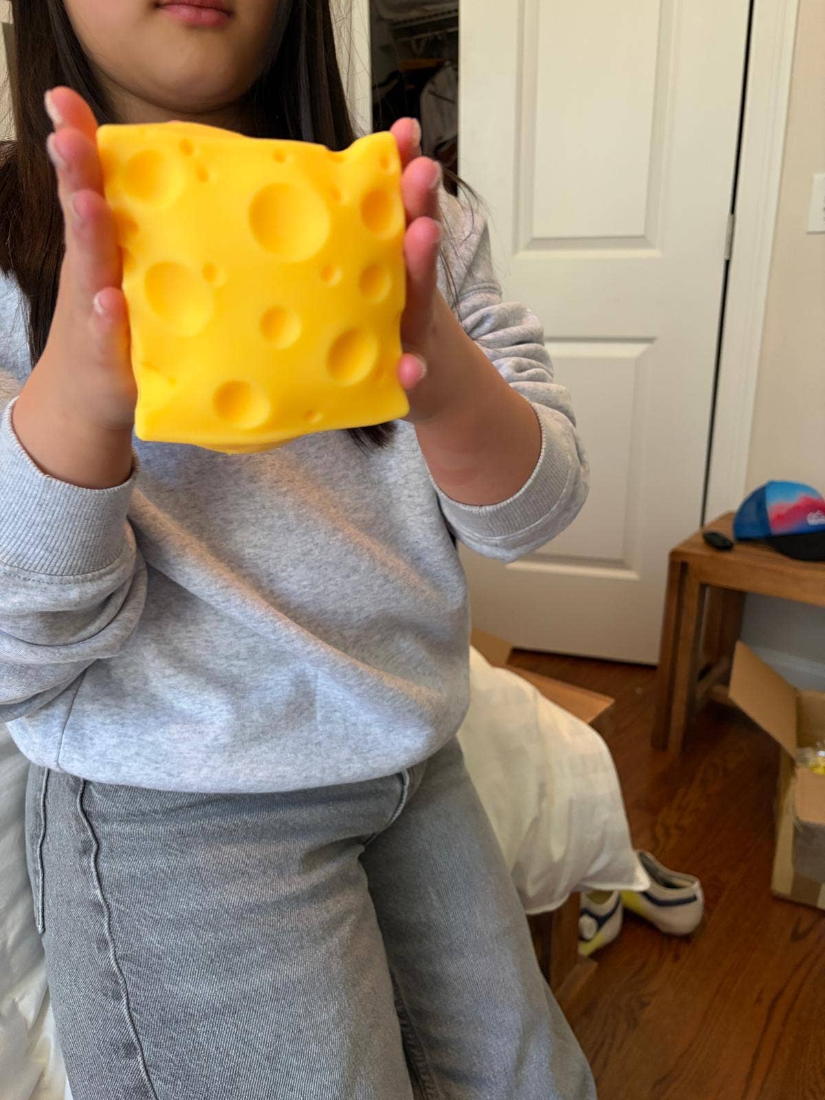 Feelzies™ Big Cheese Squishy