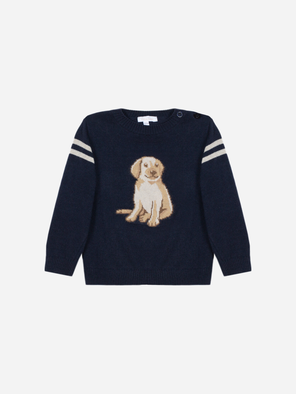PATACHOU: BOY'S PUPPY SWEATER AND PANTS SET