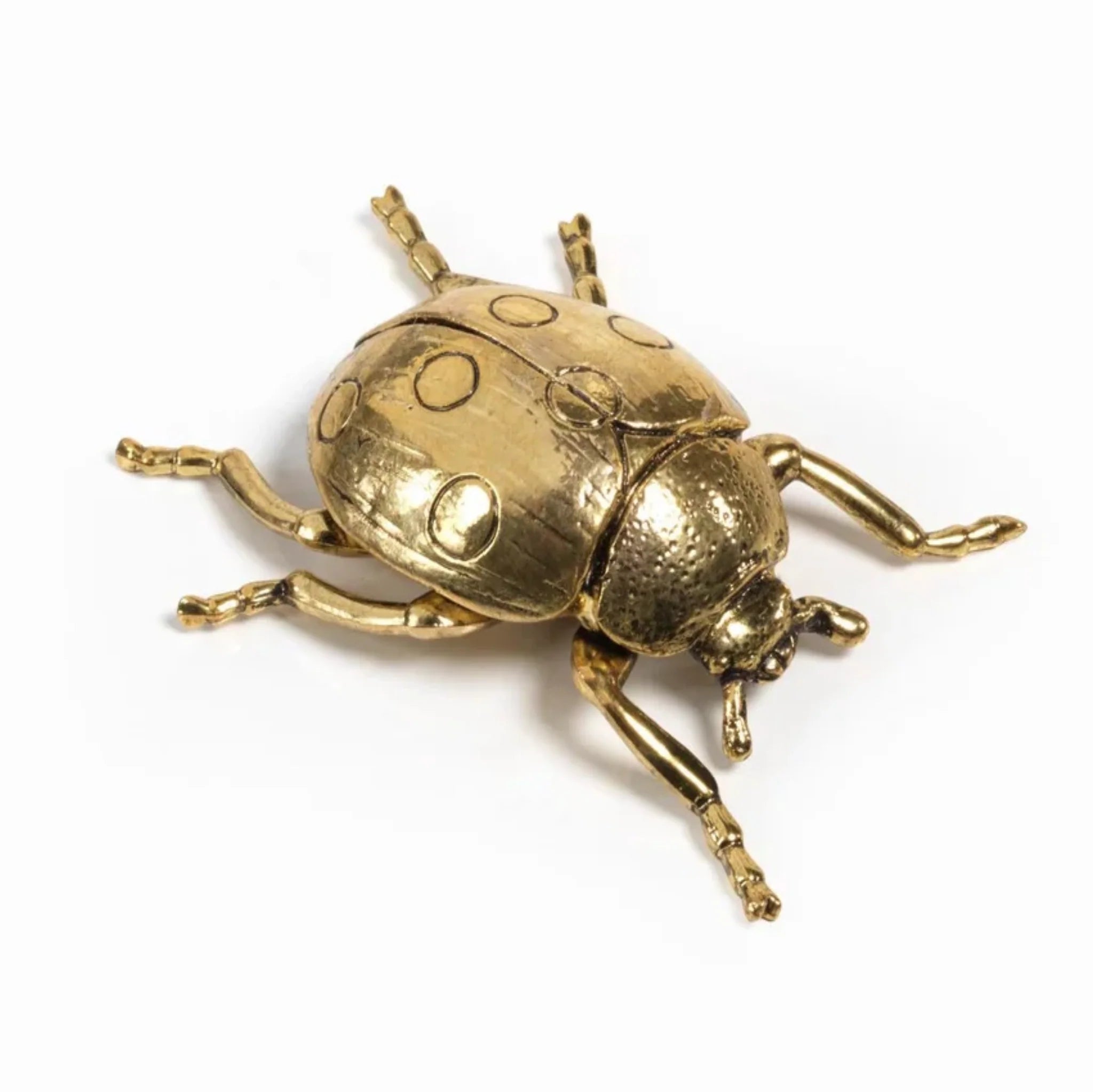 Lady Bug