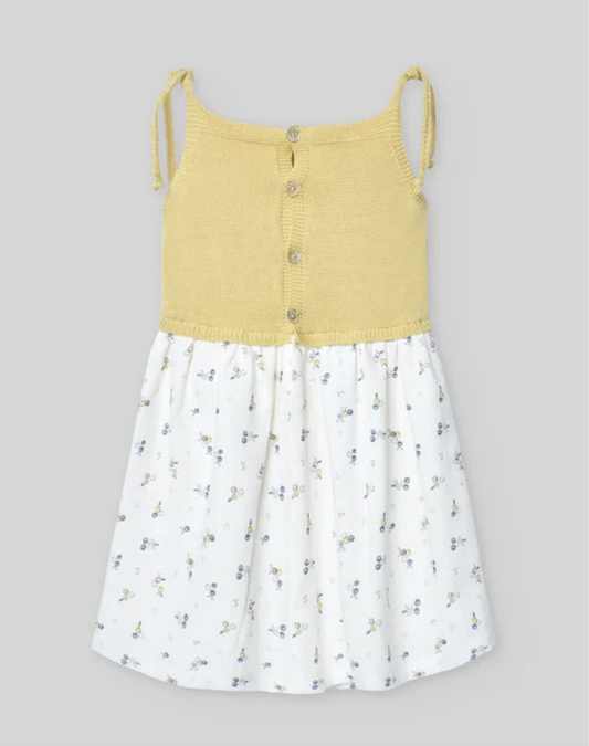 PAZ RODRIGUEZ: “POMBA” Pistachio Knit with Cotton Berries Print Button Dress