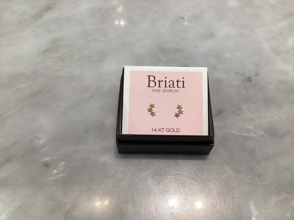 14Kt Earrings