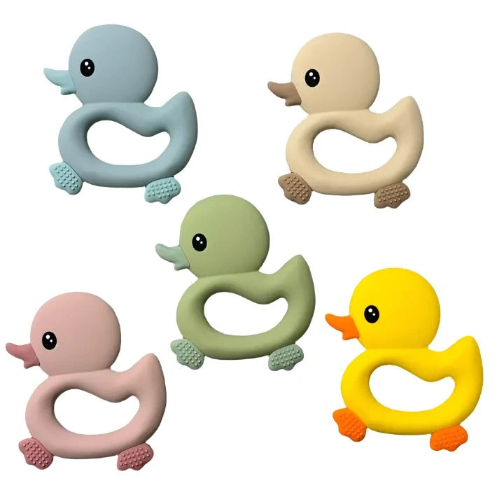 ST0081
