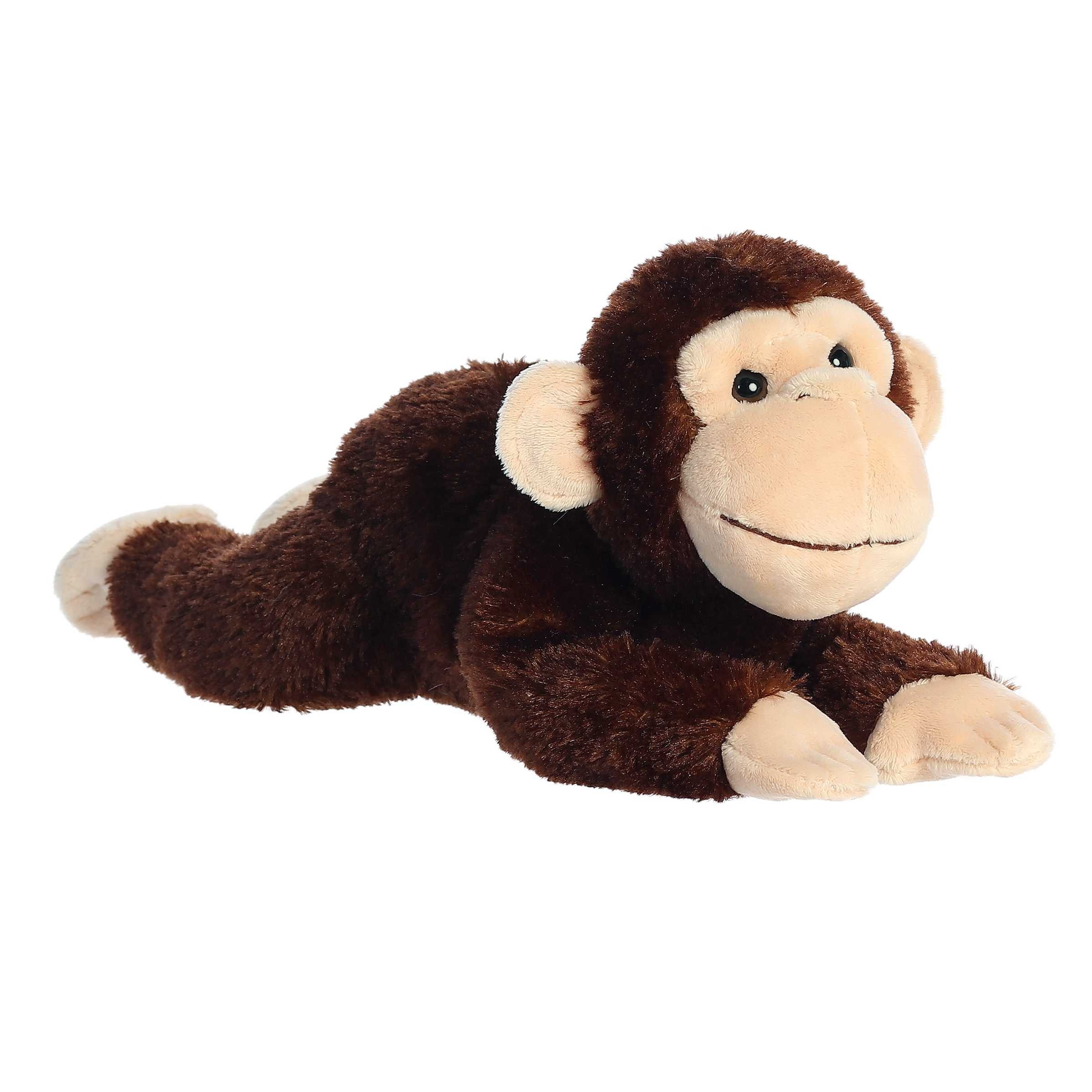 AURORA: 12” Chimp