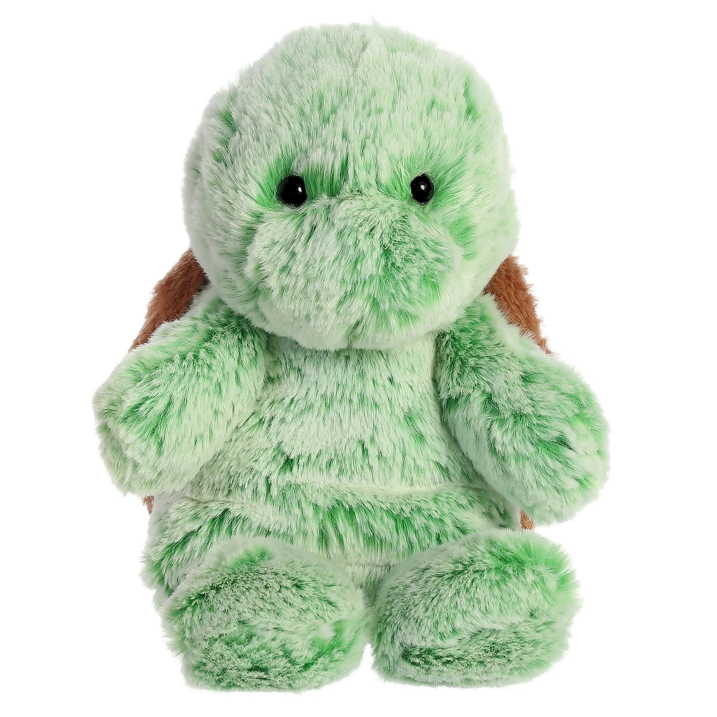AURORA: 9” Turtle