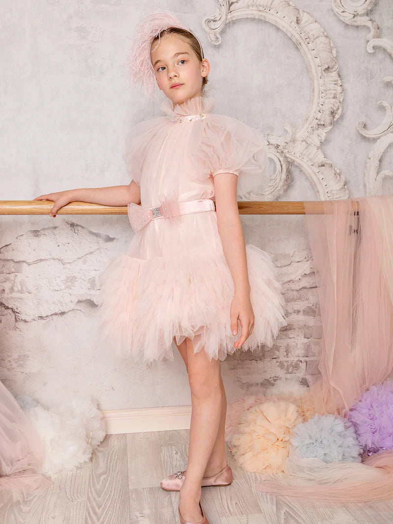 TUTU DU MONDE : Outre Tulle Dress