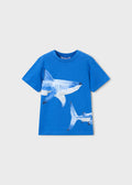 MAYORAL : Boy Shark Graphic T-shirt
