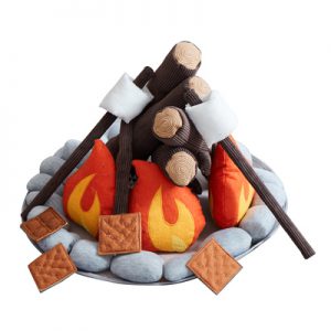 Campout Campfire