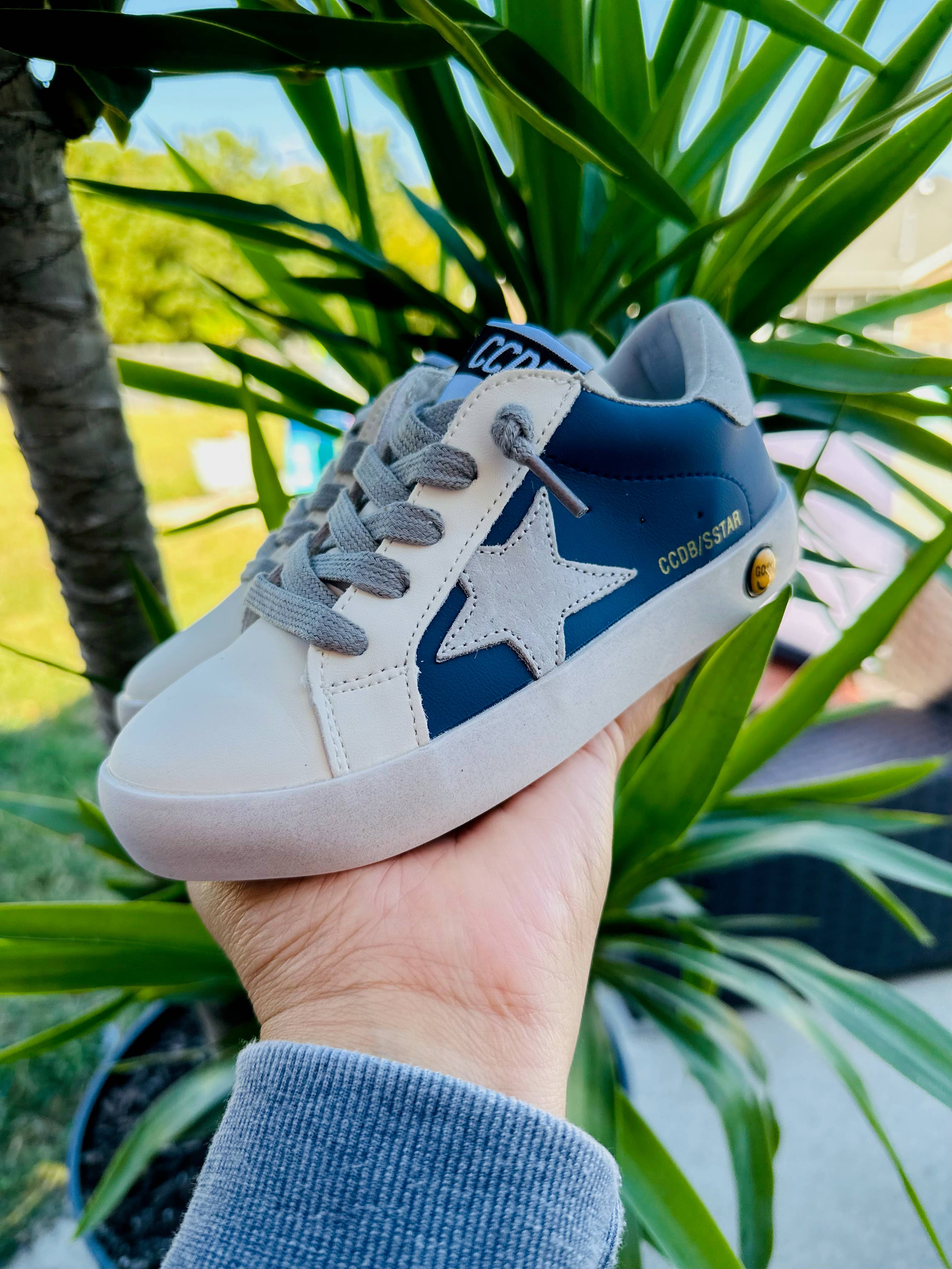 Blue and White Shoe