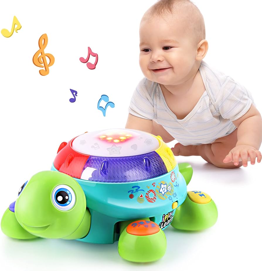 MUSIC TURTLE